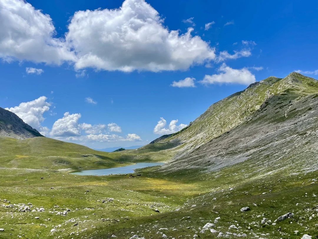 Scopri di più sull'articolo Anello della Duchessa da Cartore